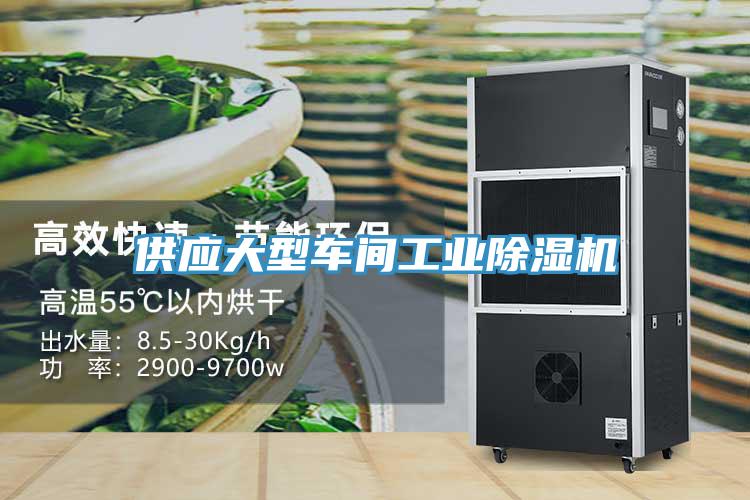 供應大型車間工業除濕機