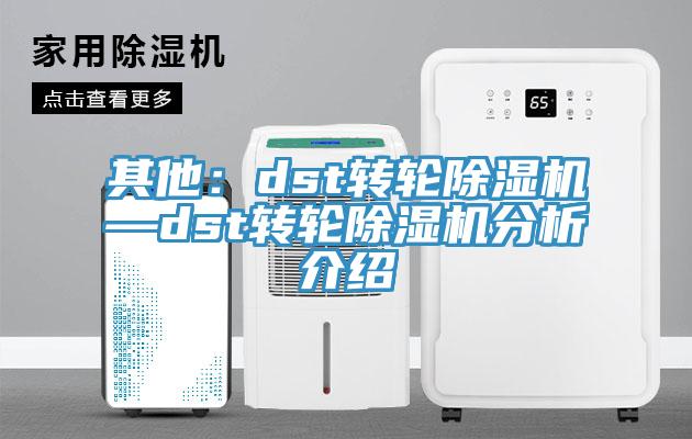 其他:dst轉輪除濕機—dst轉輪除濕機分析介紹