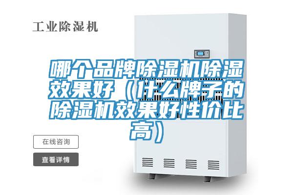 哪個品牌除濕機除濕效果好(什么牌子的除濕機效果好性價比高)