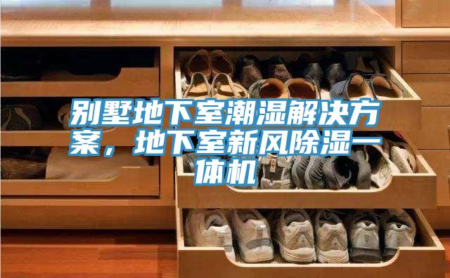 別墅地下室潮濕解決方案,地下室新風除濕一體機