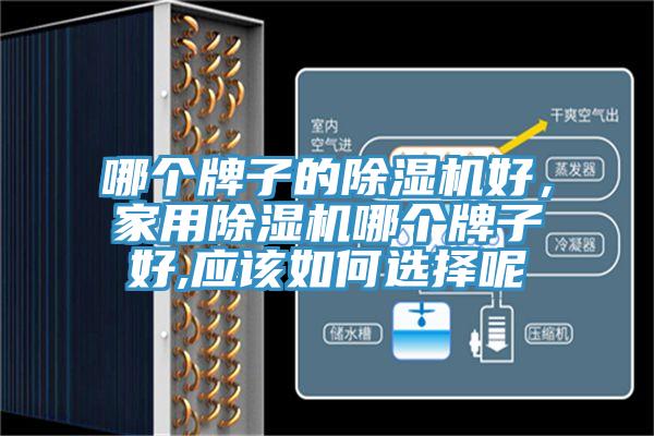 哪個牌子的除濕機(jī)好,家用除濕機(jī)哪個牌子好,應(yīng)該如何選擇呢