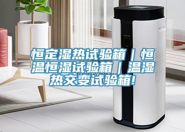 恒定濕熱試驗(yàn)箱|恒溫恒濕試驗(yàn)箱|溫濕熱交變?cè)囼?yàn)箱!