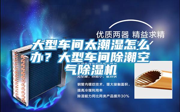 大型車間太潮濕怎么辦?大型車間除潮空氣除濕機