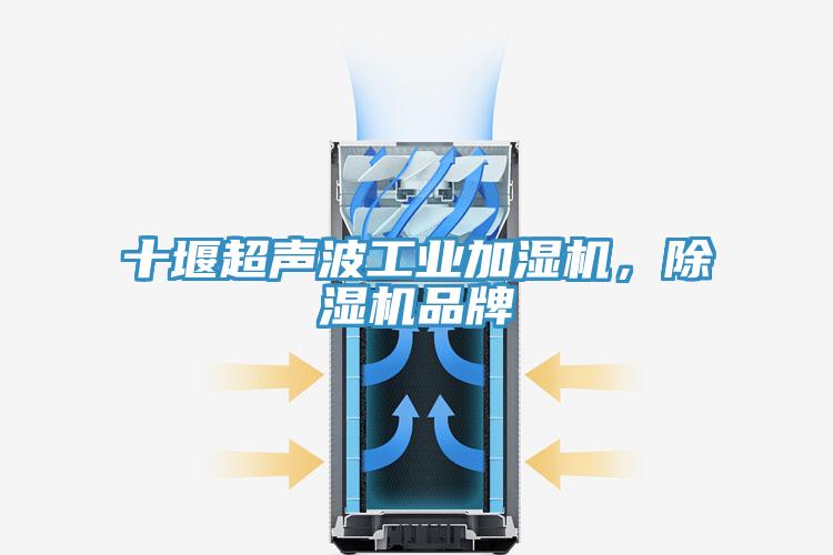 十堰超聲波工業(yè)加濕機,除濕機品牌