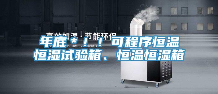 年底*!!可程序恒溫恒濕試驗(yàn)箱、恒溫恒濕箱