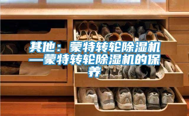 其他:蒙特轉輪除濕機—蒙特轉輪除濕機的保養