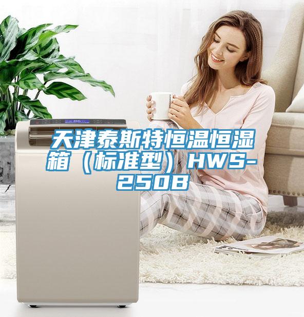 天津泰斯特恒溫恒濕箱(標準型)HWS-250B