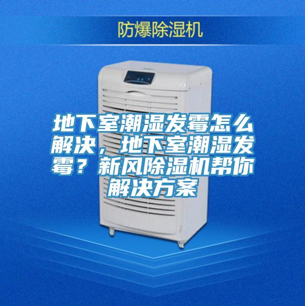 地下室潮濕發(fā)霉怎么解決，地下室潮濕發(fā)霉？新風除濕機幫你解決方案