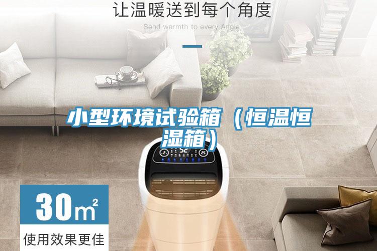 小型環(huán)境試驗(yàn)箱(恒溫恒濕箱)