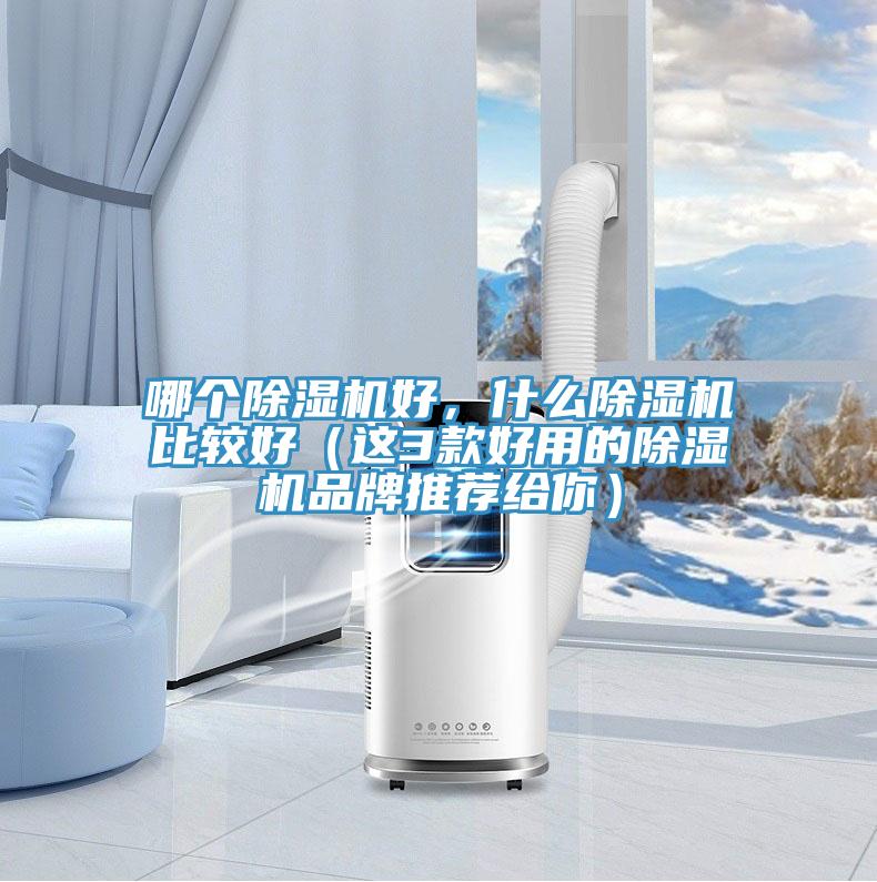 哪個(gè)除濕機(jī)好，什么除濕機(jī)比較好（這3款好用的除濕機(jī)品牌推薦給你）