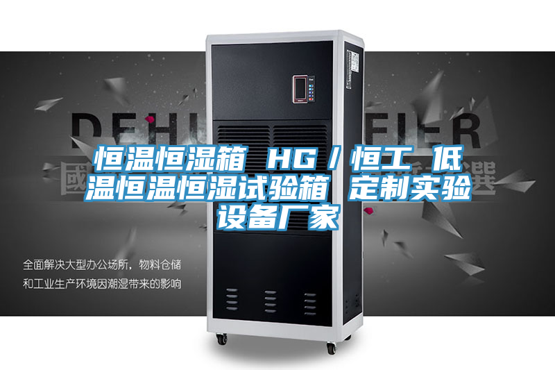 恒溫恒濕箱 HG/恒工 低溫恒溫恒濕試驗箱 定制實驗設備廠家