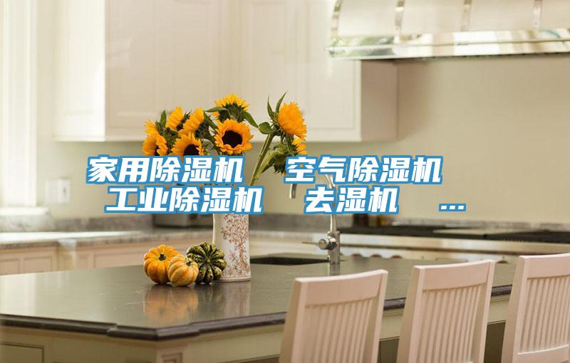 家用除濕機(jī) 空氣除濕機(jī) 工業(yè)除濕機(jī) 去濕機(jī) ...