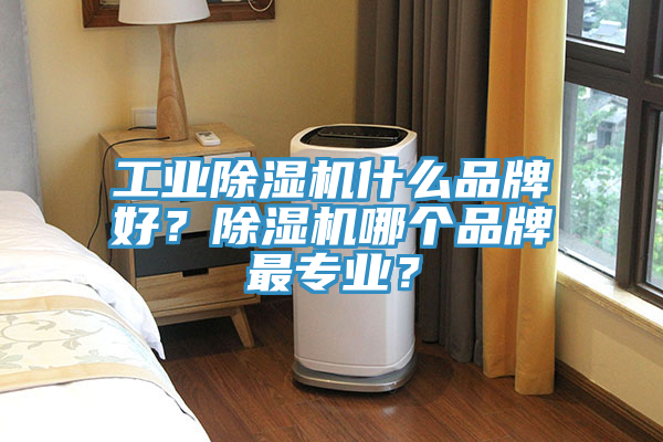 工業除濕機什么品牌好?除濕機哪個品牌最專業?