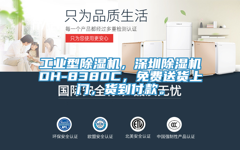 工業型除濕機,深圳除濕機DH-8380C,免費送貨上門,貨到付款。