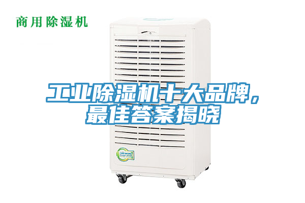 工業除濕機十大品牌,最佳答案揭曉