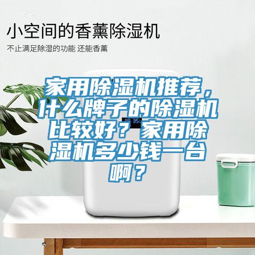 家用除濕機(jī)推薦,什么牌子的除濕機(jī)比較好?家用除濕機(jī)多少錢一臺啊?