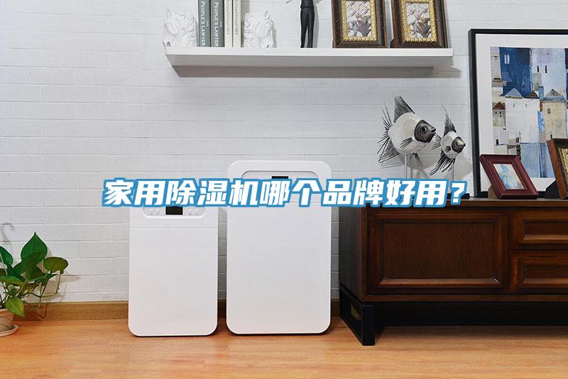 家用除濕機(jī)哪個(gè)品牌好用?