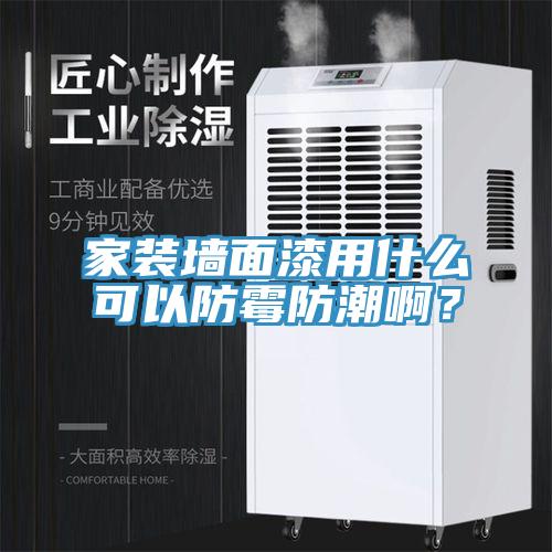 家裝墻面漆用什么可以防霉防潮啊?