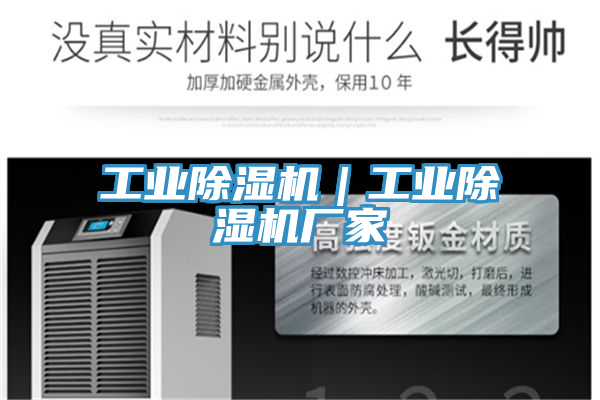 工業(yè)除濕機(jī)|工業(yè)除濕機(jī)廠家