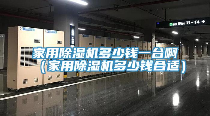 家用除濕機多少錢一臺啊(家用除濕機多少錢合適)