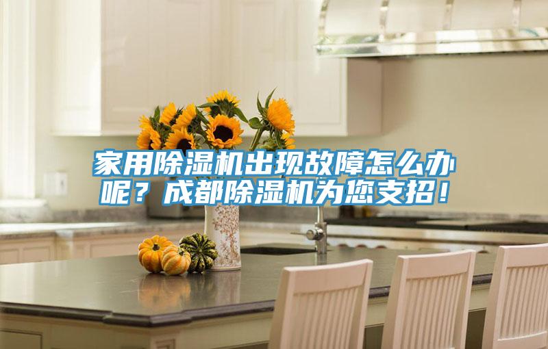 家用除濕機出現(xiàn)故障怎么辦呢?成都除濕機為您支招!