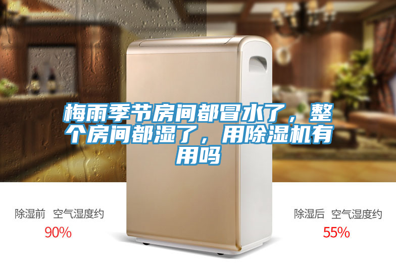 梅雨季節房間都冒水了，整個房間都濕了，用除濕機有用嗎