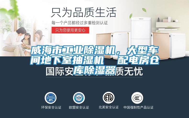 威海市工業(yè)除濕機,大型車間地下室抽濕機 配電房倉庫除濕器