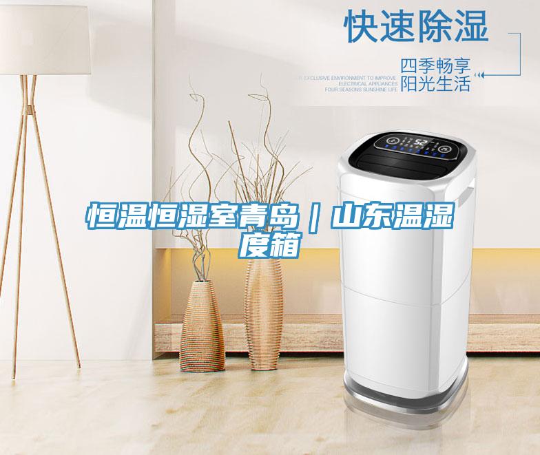 恒溫恒濕室青島|山東溫濕度箱
