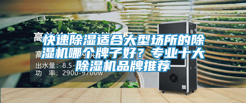 快速除濕適合大型場所的除濕機哪個牌子好?專業十大除濕機品牌推薦