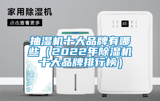 抽濕機十大品牌有哪些(2022年除濕機十大品牌排行榜)
