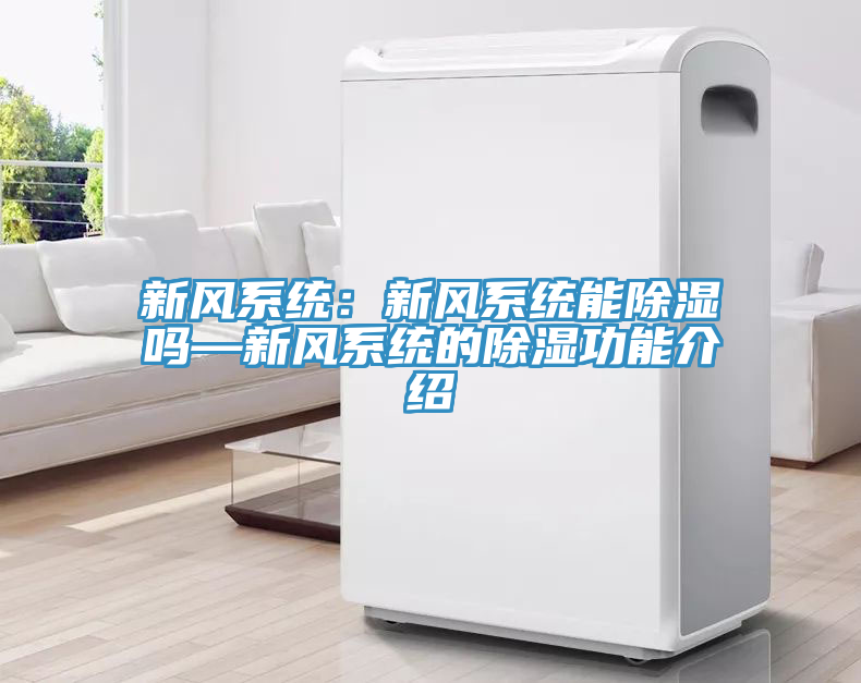 新風系統：新風系統能除濕嗎—新風系統的除濕功能介紹