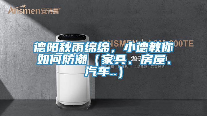 德陽秋雨綿綿,小德教你如何防潮(家具、房屋、汽車..)