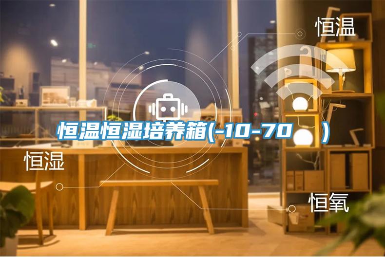恒溫恒濕培養箱(-10-70 ℃)
