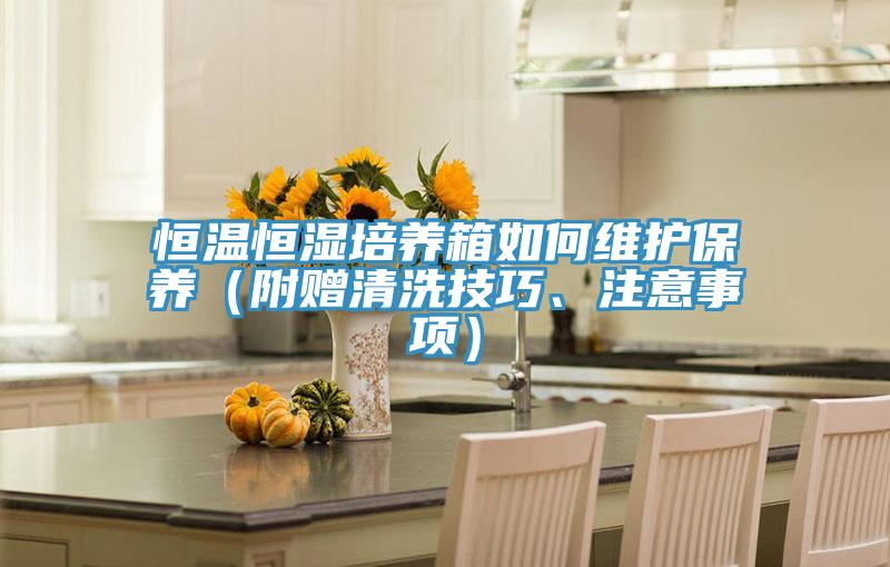 恒溫恒濕培養箱如何維護保養（附贈清洗技巧、注意事項）