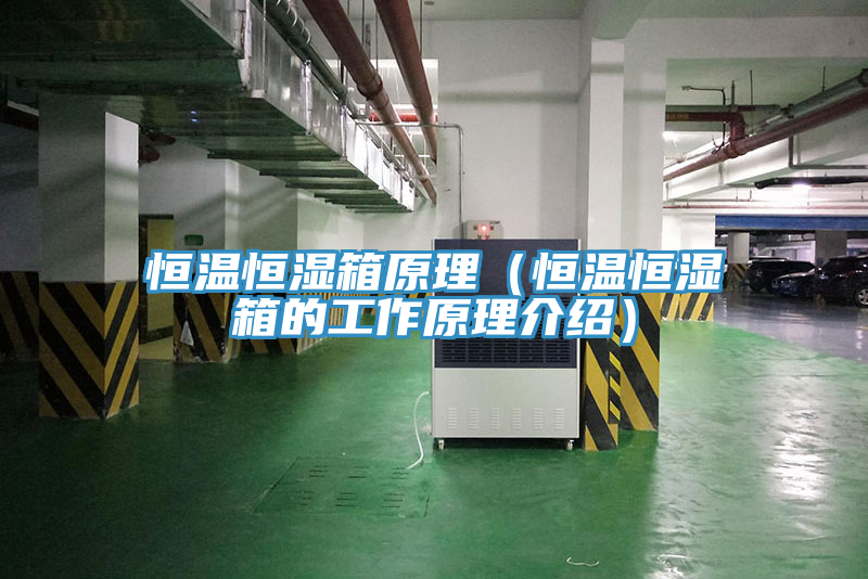 恒溫恒濕箱原理(恒溫恒濕箱的工作原理介紹)