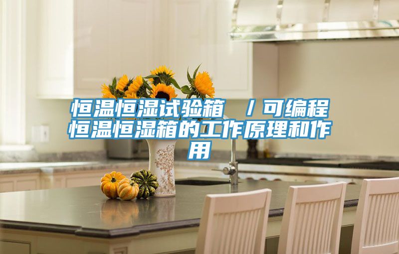 恒溫恒濕試驗箱 /可編程恒溫恒濕箱的工作原理和作用
