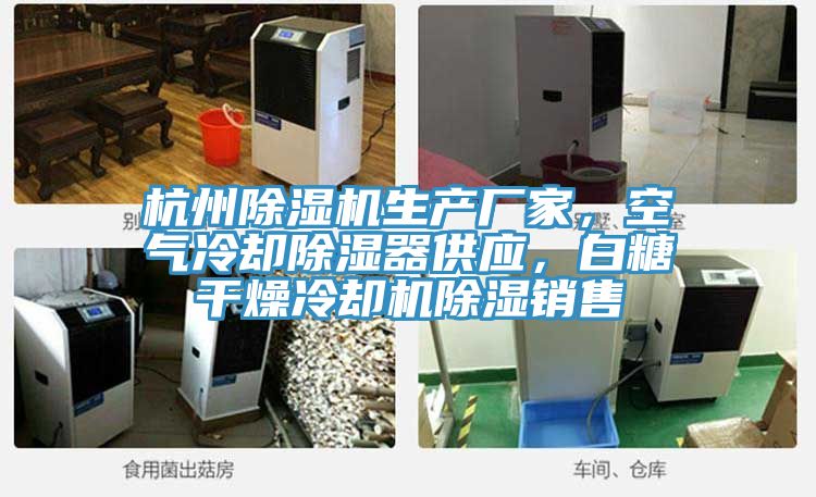 杭州除濕機(jī)生產(chǎn)廠家，空氣冷卻除濕器供應(yīng)，白糖干燥冷卻機(jī)除濕銷售