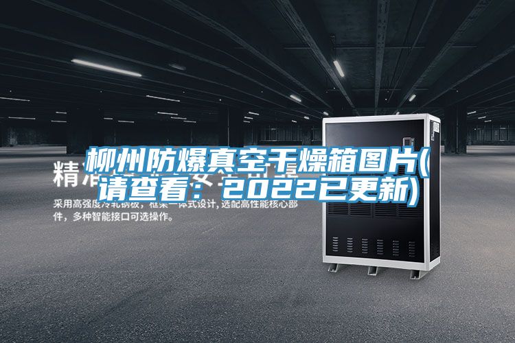 柳州防爆真空干燥箱圖片(請查看:2022已更新)
