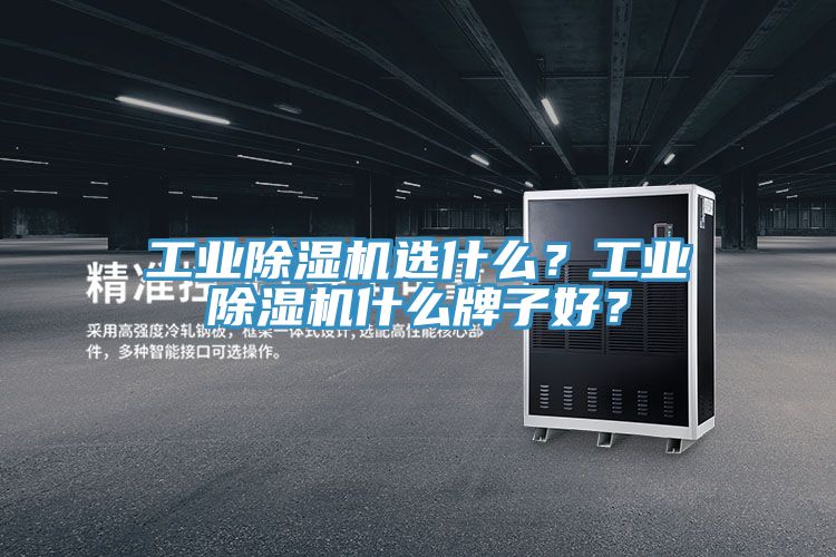 工業(yè)除濕機(jī)選什么?工業(yè)除濕機(jī)什么牌子好?