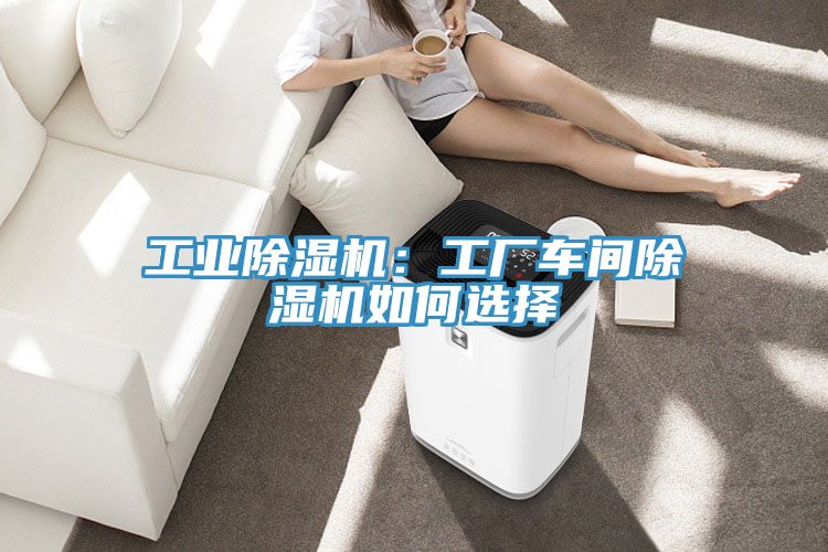 工業(yè)除濕機(jī):工廠車間除濕機(jī)如何選擇