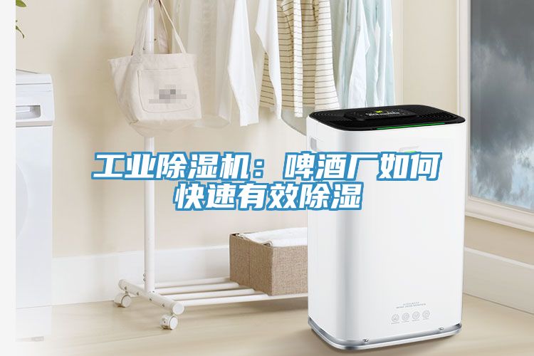 工業(yè)除濕機(jī):啤酒廠如何快速有效除濕