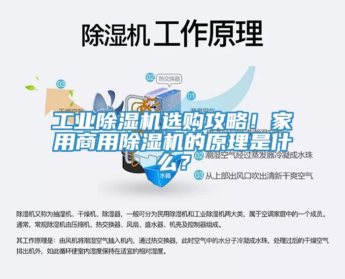 工業除濕機選購攻略!家用商用除濕機的原理是什么?