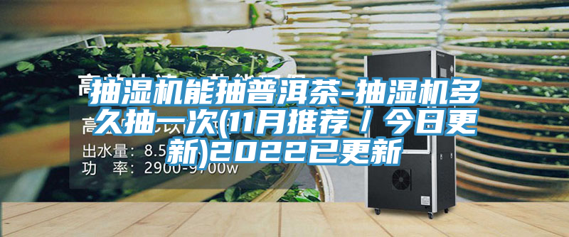 抽濕機能抽普洱茶-抽濕機多久抽一次(11月推薦/今日更新)2022已更新