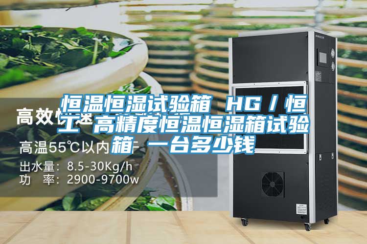 恒溫恒濕試驗箱 HG/恒工 高精度恒溫恒濕箱試驗箱 一臺多少錢
