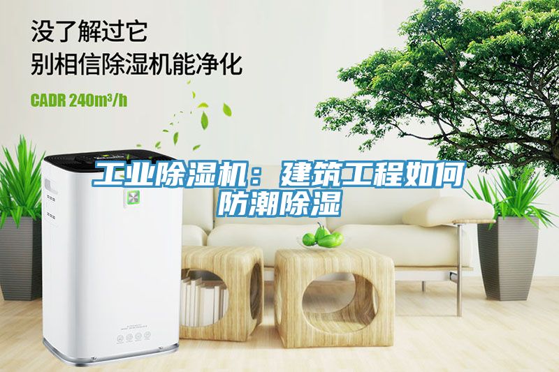工業(yè)除濕機(jī):建筑工程如何防潮除濕
