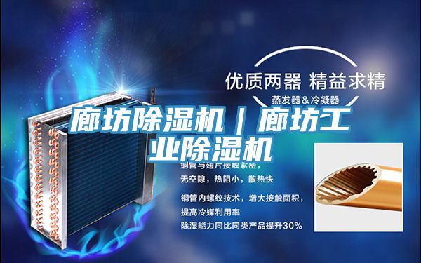 廊坊除濕機|廊坊工業(yè)除濕機