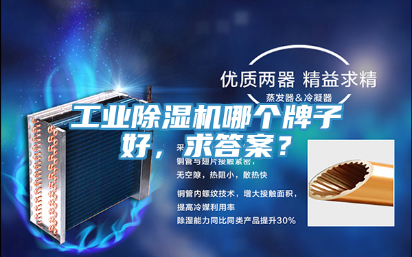 工業除濕機哪個牌子好,求答案?