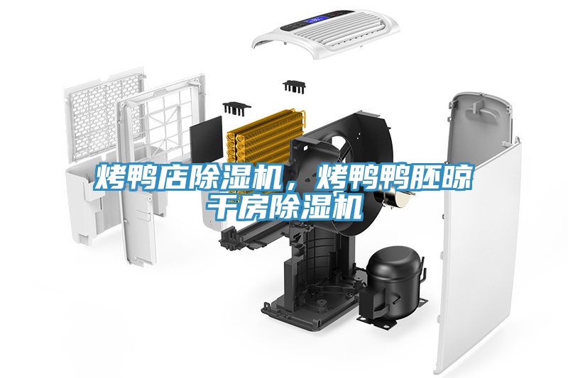 烤鴨店除濕機，烤鴨鴨胚晾干房除濕機