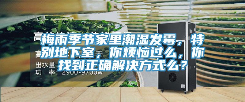 梅雨季節(jié)家里潮濕發(fā)霉,特別地下室,你煩惱過么,你找到正確解決方式么?