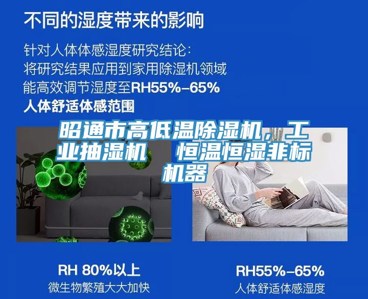 昭通市高低溫除濕機,工業抽濕機 恒溫恒濕非標機器
